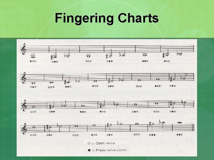 Fingering Charts 