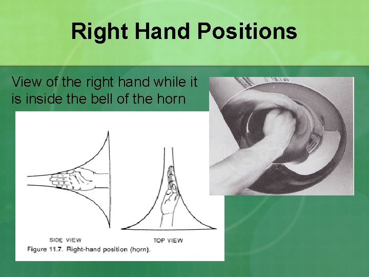 Right Hand Positions View of the right hand while it is inside the bell