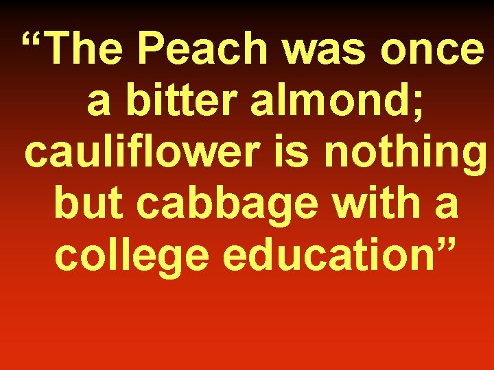 “The Peach was once a bitter almond; cauliflower is nothing but cabbage with a