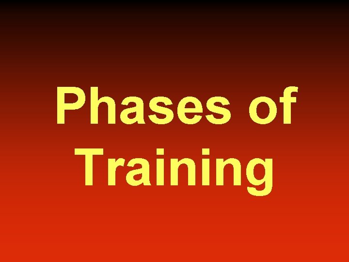 Phases of Training 