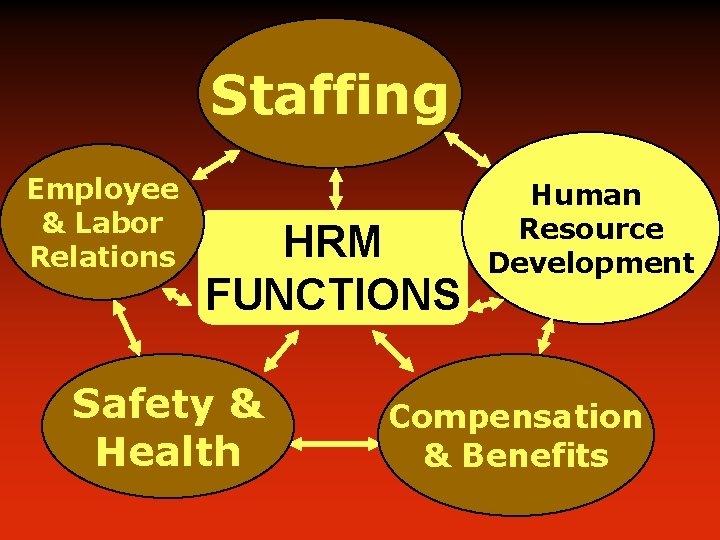 Staffing Employee & Labor Relations HRM FUNCTIONS Safety & Health Human Resource Development Compensation