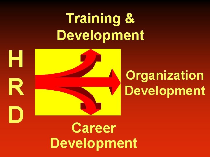 Training & Development H R D Organization Development Career Development 