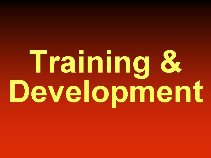 Training & Development 