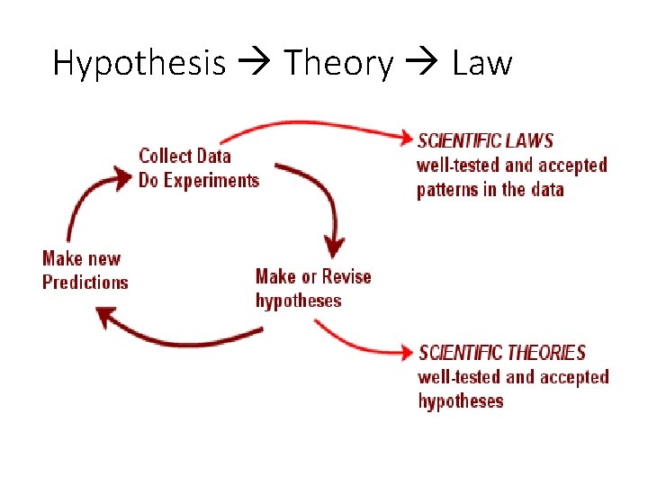 Hypothesis Theory Law 