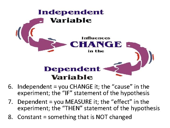 6. Independent = you CHANGE it; the “cause” in the experiment; the “IF” statement