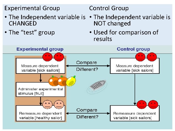 Experimental Group Control Group • The Independent variable is CHANGED NOT changed • The