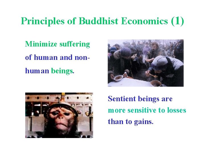 Principles of Buddhist Economics (1) Minimize suffering of human and nonhuman beings. Sentient beings
