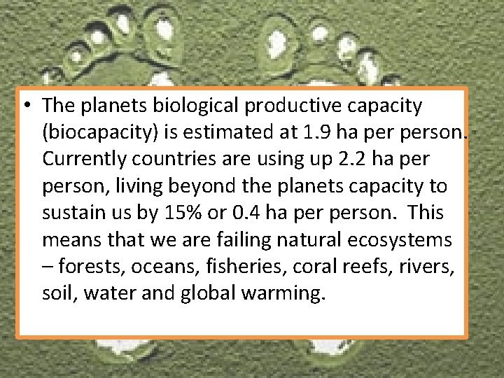  • • Theplanetsbiological productive capacity (biocapacity) is estimated at 1. 9 ha person.