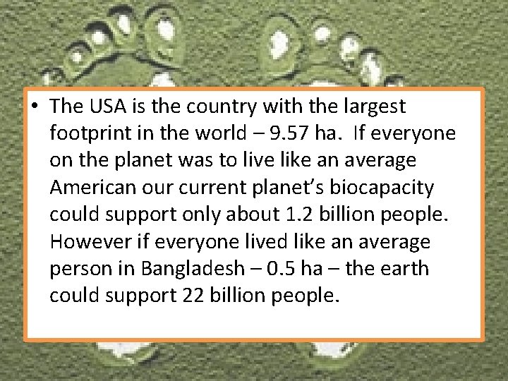  • The USA is the country with the largest footprint in the world