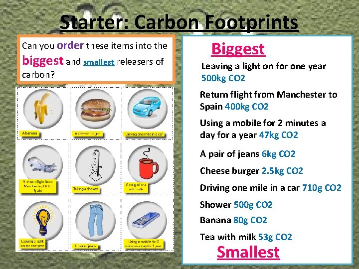 Starter: Carbon Footprints Can you order these items into the biggest and smallest releasers