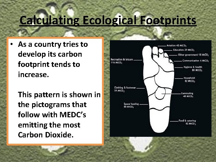 Calculating Ecological Footprints • As a country tries to develop its carbon footprint tends