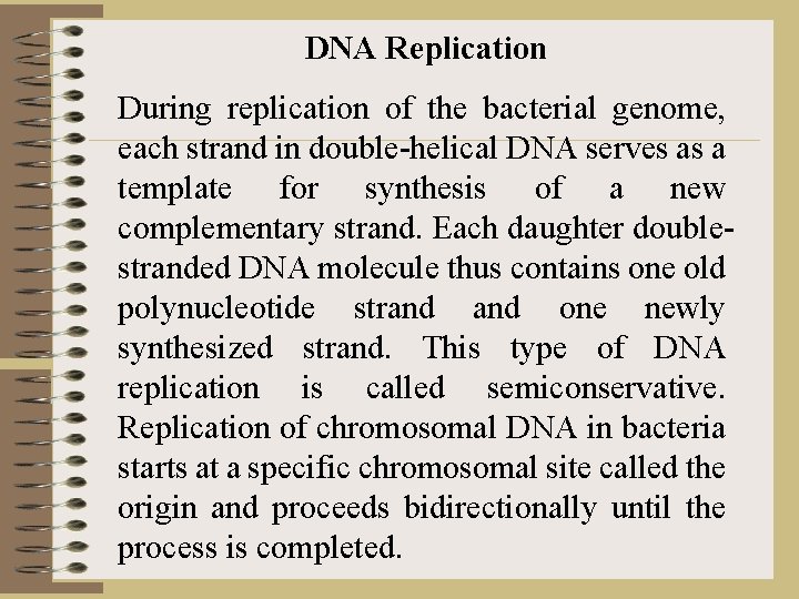 DNA Replication During replication of the bacterial genome, each strand in double-helical DNA serves
