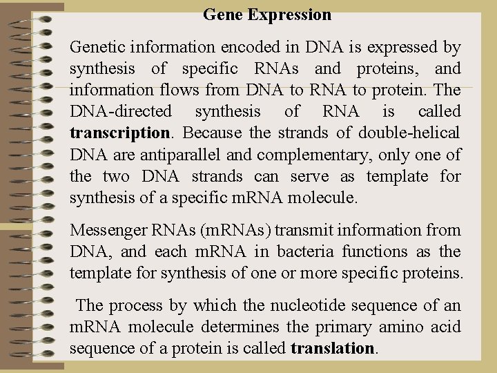 Gene Expression Genetic information encoded in DNA is expressed by synthesis of specific RNAs