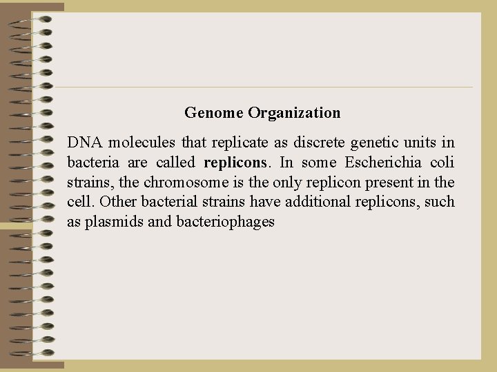 Genome Organization DNA molecules that replicate as discrete genetic units in bacteria are called