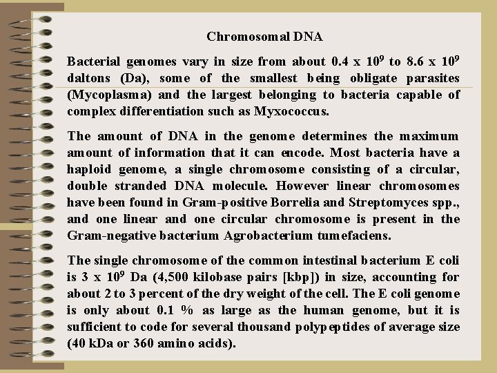 Chromosomal DNA Bacterial genomes vary in size from about 0. 4 x 109 to