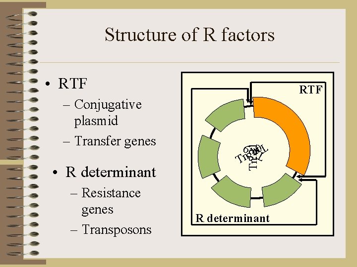 Structure of R factors • RTF – Resistance genes – Transposons 0 1 n