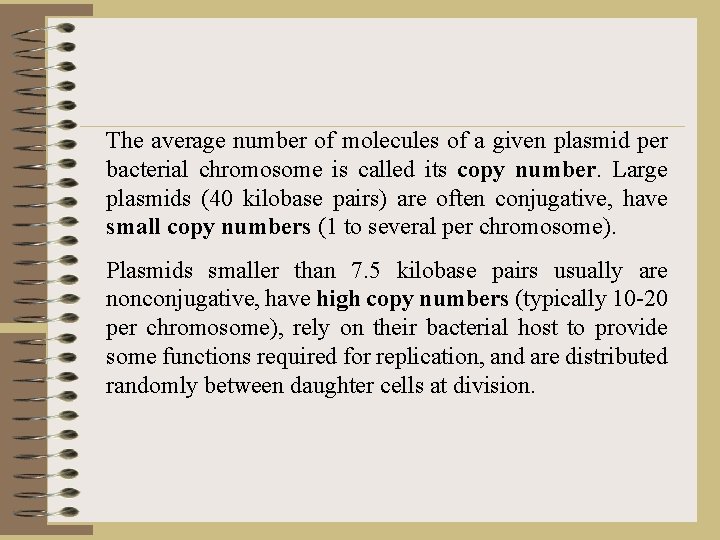 The average number of molecules of a given plasmid per bacterial chromosome is called