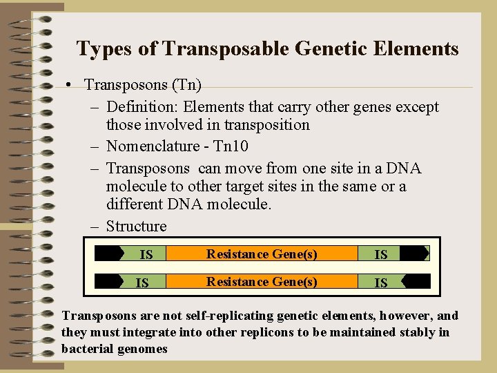 Types of Transposable Genetic Elements • Transposons (Tn) – Definition: Elements that carry other