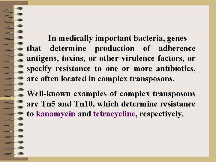 In medically important bacteria, genes that determine production of adherence antigens, toxins, or other