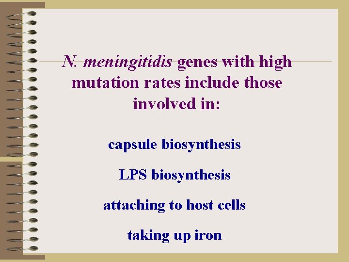 N. meningitidis genes with high mutation rates include those involved in: capsule biosynthesis LPS