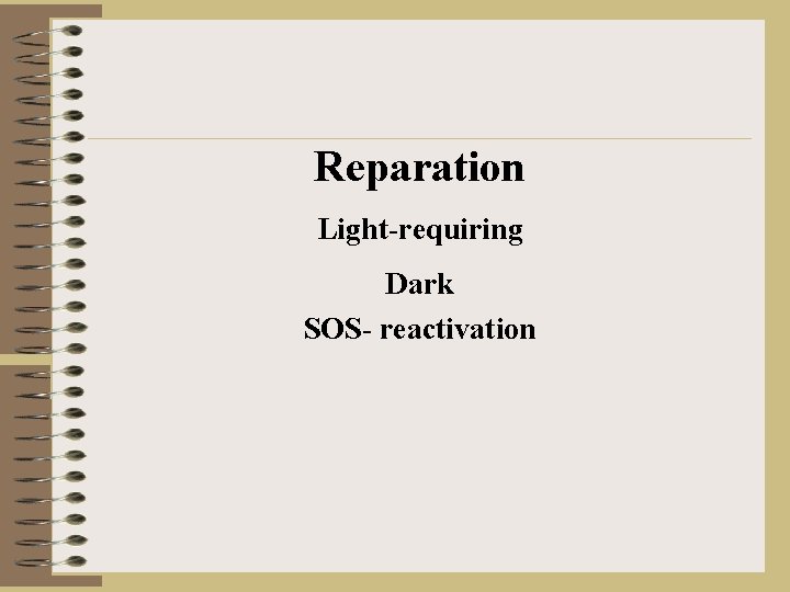 Reparation Light-requiring Dark SOS- reactivation 