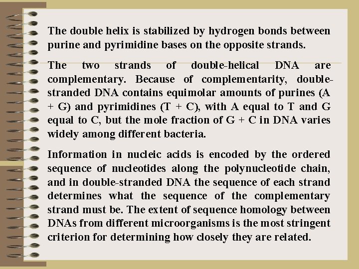 The double helix is stabilized by hydrogen bonds between purine and pyrimidine bases on