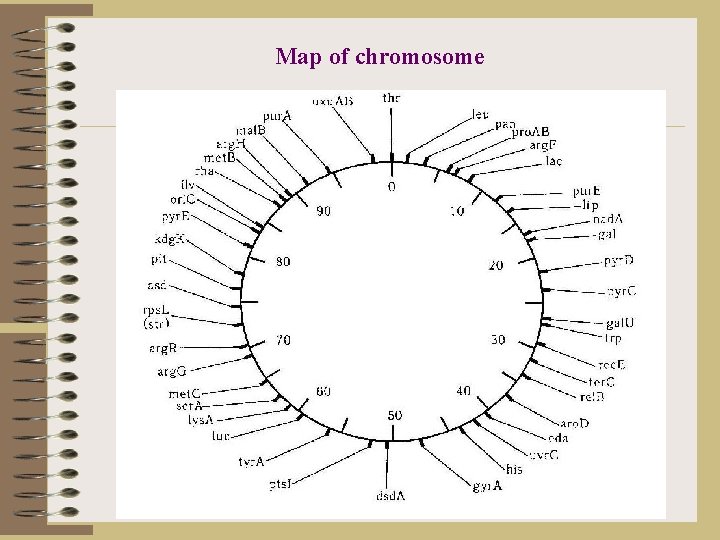 Map of chromosome 