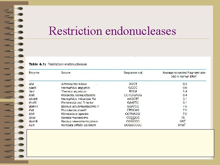 Restriction endonucleases 