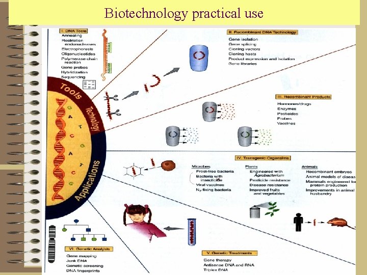 Biotechnology practical use 