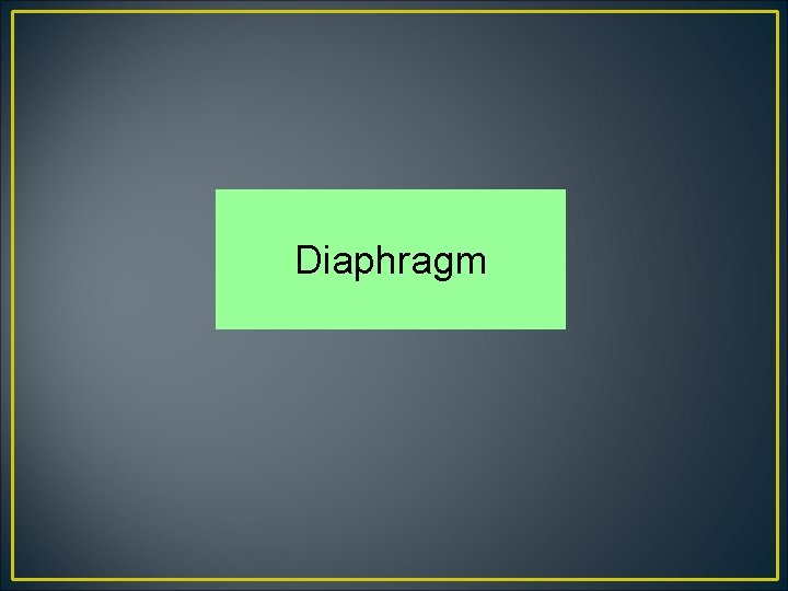 Diaphragm 