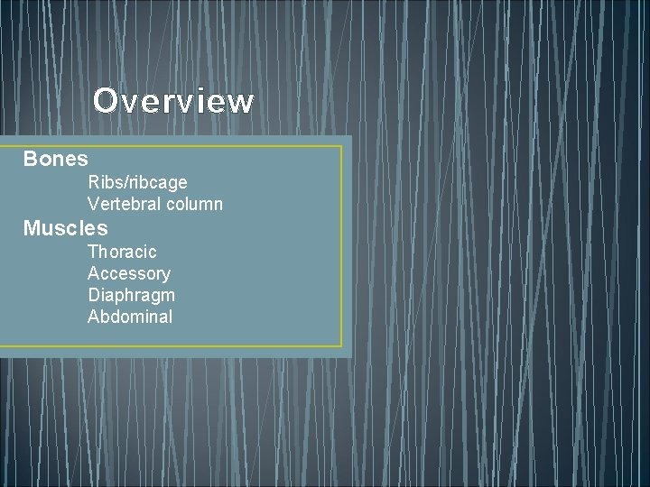 Overview Bones Ribs/ribcage Vertebral column Muscles Thoracic Accessory Diaphragm Abdominal 