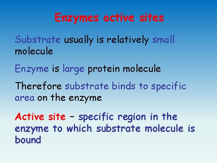 Enzymes active sites Substrate usually is relatively small molecule Enzyme is large protein molecule