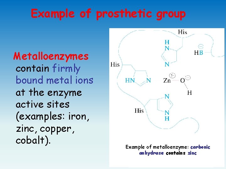 Example of prosthetic group Metalloenzymes contain firmly bound metal ions at the enzyme active