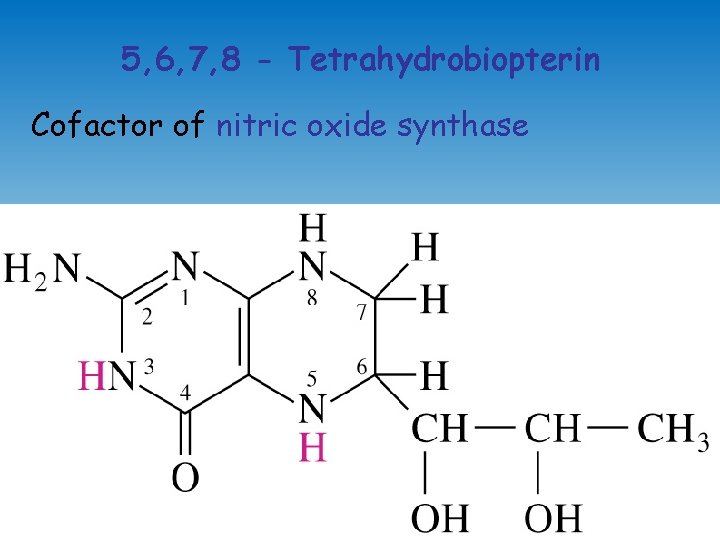 5, 6, 7, 8 - Tetrahydrobiopterin Cofactor of nitric oxide synthase 