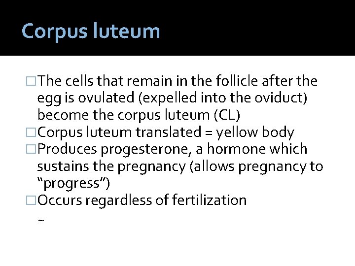 Corpus luteum �The cells that remain in the follicle after the egg is ovulated