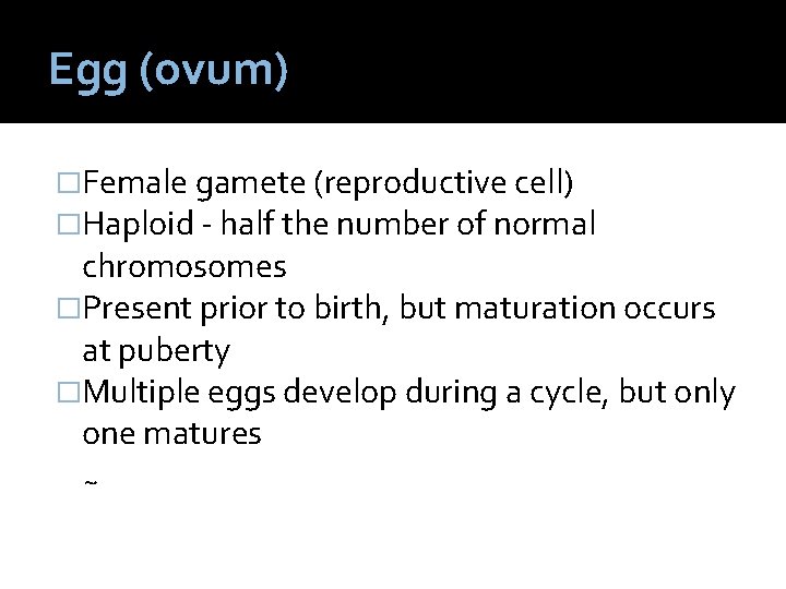 Egg (ovum) �Female gamete (reproductive cell) �Haploid - half the number of normal chromosomes