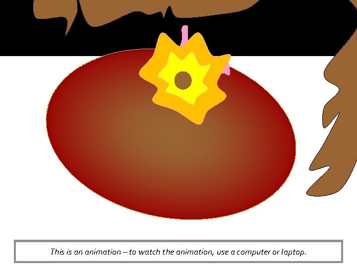 This is an animation – to watch the animation, use a computer or laptop.