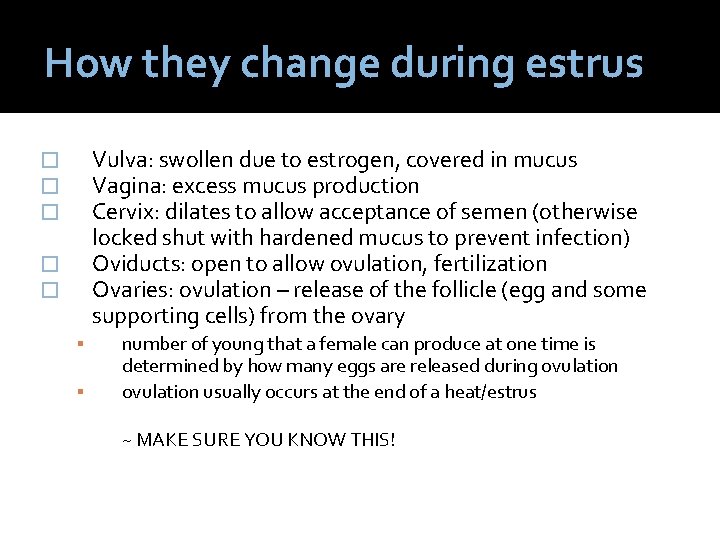 How they change during estrus Vulva: swollen due to estrogen, covered in mucus Vagina: