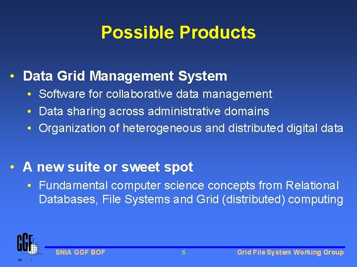 Possible Products • Data Grid Management System • Software for collaborative data management •