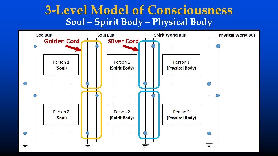 3 -Level Model of Consciousness Soul – Spirit Body – Physical Body Golden Cord