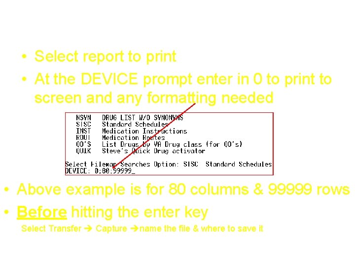 How to Screen Capture an RPMS Report • Select report to print • At