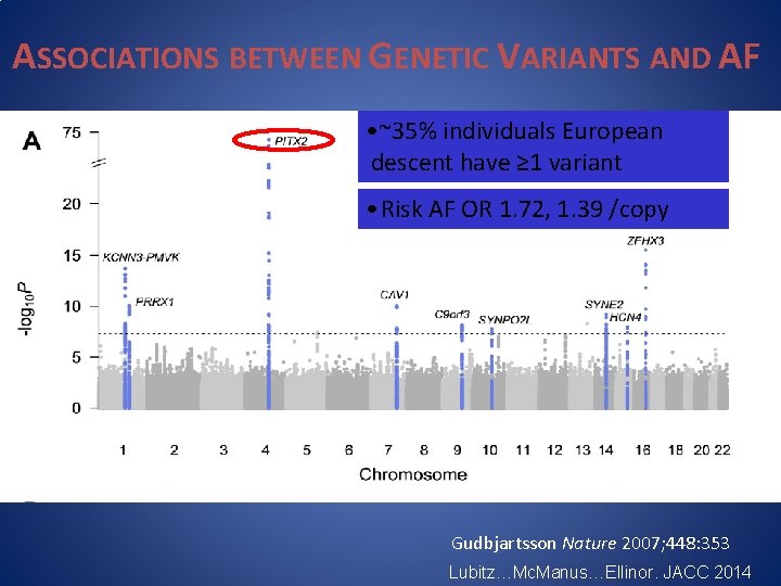 ASSOCIATIONS BETWEEN GENETIC VARIANTS AND AF • ~35% individuals European descent have ≥ 1