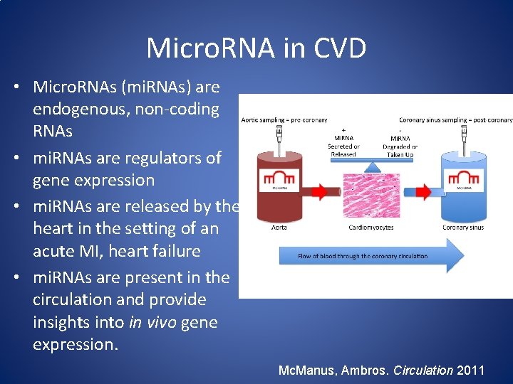 Micro. RNA in CVD • Micro. RNAs (mi. RNAs) are endogenous, non-coding RNAs •