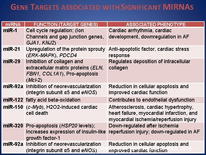 GENE TARGETS ASSOCIATED WITH SIGNIFICANT MIRNAS mi. RNA mi. R-1 FUNCTION (TARGET GENES) Cell