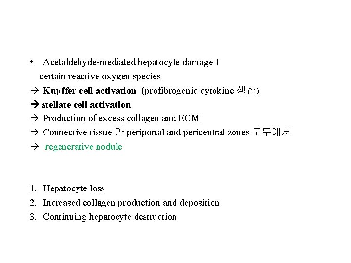  • Acetaldehyde-mediated hepatocyte damage + certain reactive oxygen species Kupffer cell activation (profibrogenic