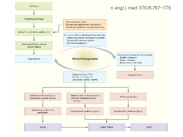 n engl j med 375; 8; 767 -775 