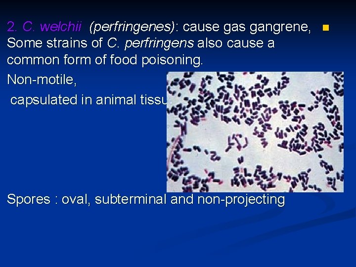 2. C. welchii (perfringenes): cause gas gangrene, Some strains of C. perfringens also cause