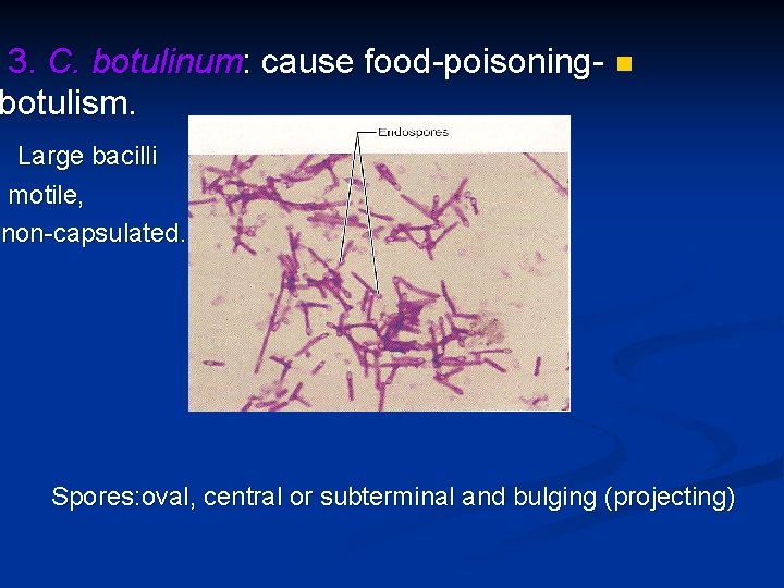 3. C. botulinum: cause food-poisoning- n botulism. Large bacilli motile, non-capsulated. Spores: oval, central