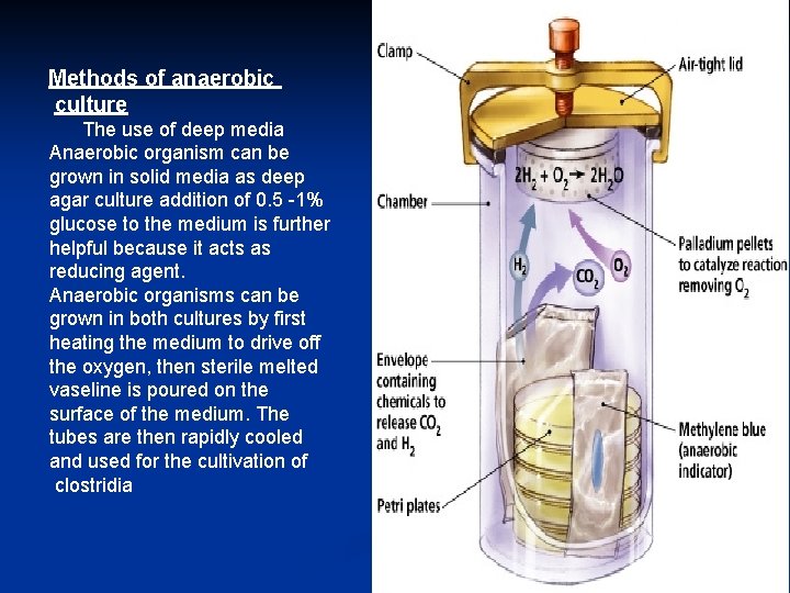 Methods of anaerobic culture The use of deep media Anaerobic organism can be grown