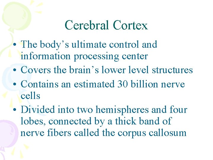 Cerebral Cortex • The body’s ultimate control and information processing center • Covers the